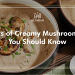 Benefits of Creamy Mushroom Soup You Should Know